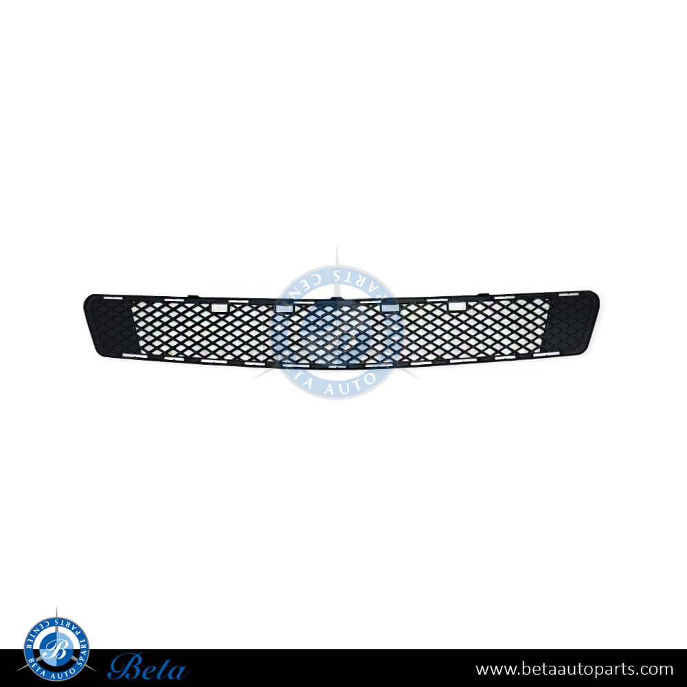 Front bumper lower grille Avantgarde for Mercedes C-Class W204 2008-2010 models, Part Number 2048852123 Front bumper lower grille Avantgarde for Mercedes C-Class W204 2008-2010 models, Part Number 2048852123